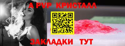 стафф Кандалакша