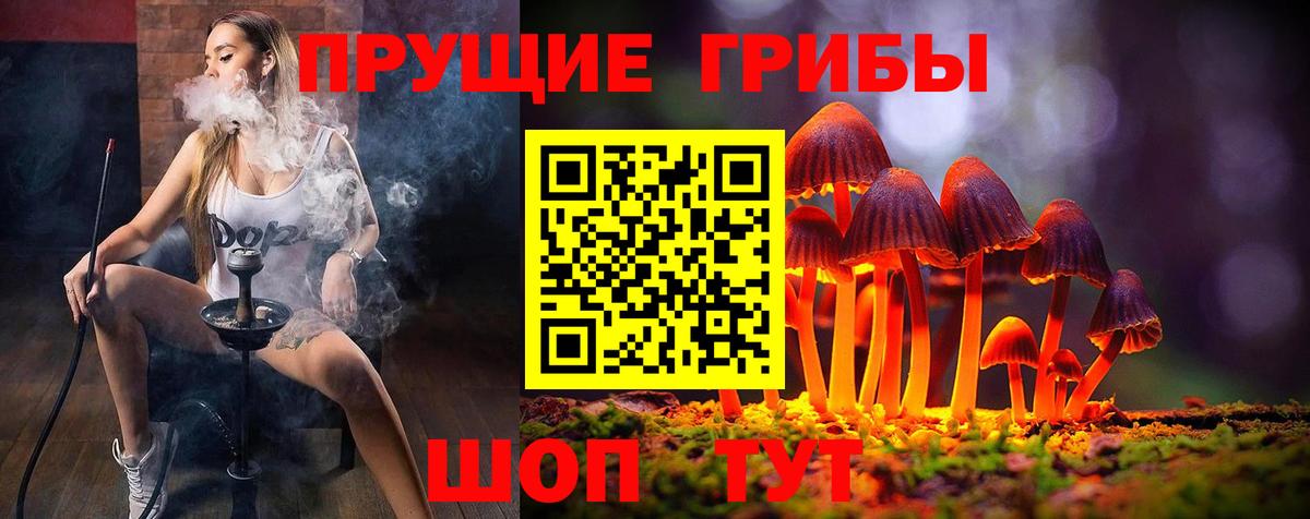 Псилоцибиновые грибы Cubensis  Вход с VPN  Псилоцибиновые грибы мухоморы  Валуйки 